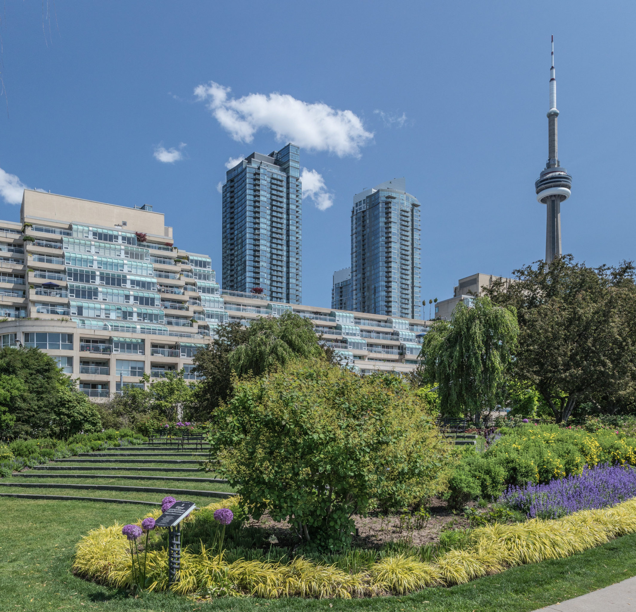 480 Queens Quay West 407 Leeanne Weld